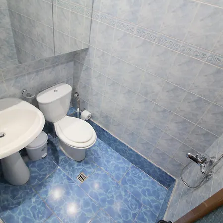 Отель Ortus